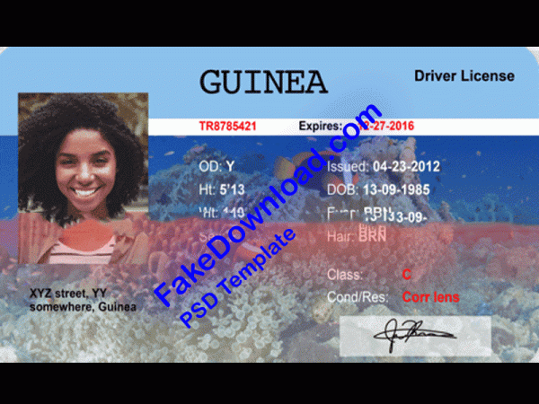 Guinea Driver License (psd)