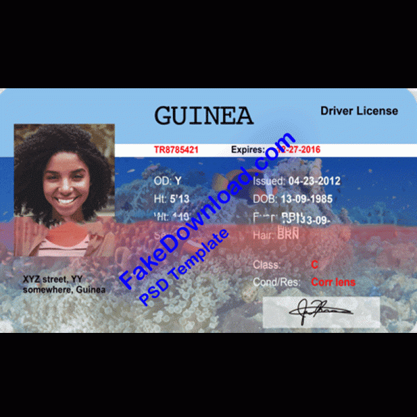 Guinea Driver License (psd)