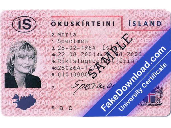 Iceland Driver License (psd)