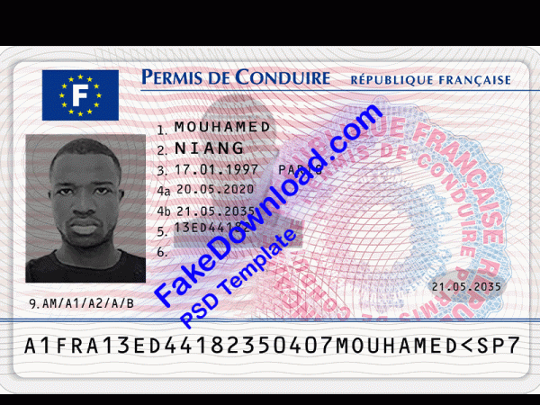 France Driver License (psd)