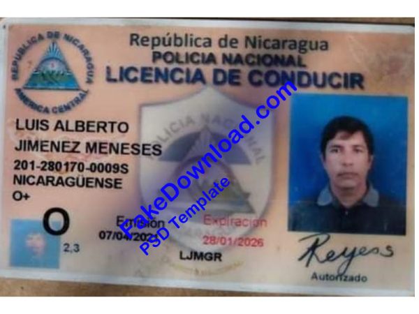 Nicaragua Driver License (psd)