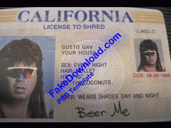 Chad Driver License (psd)