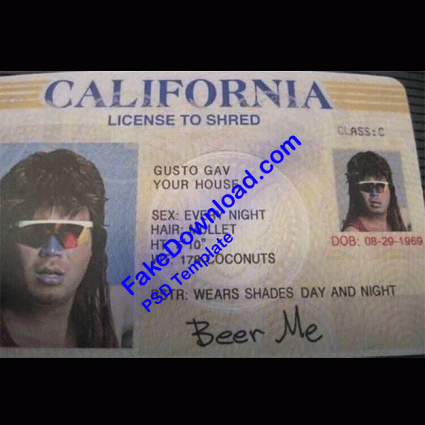 Chad Driver License (psd)