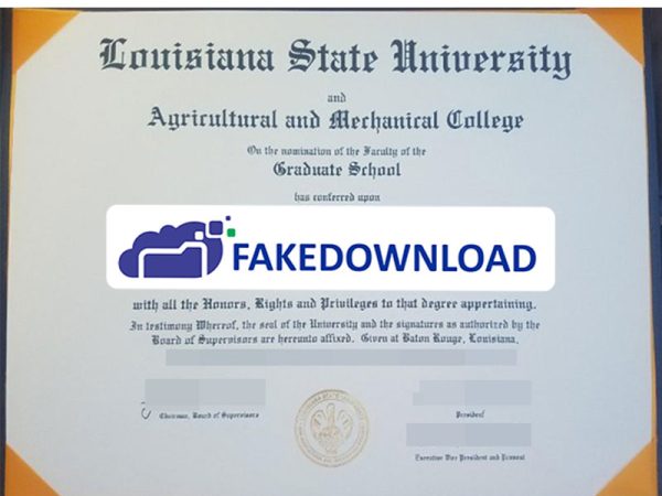 Louisiana State University Template (psd)