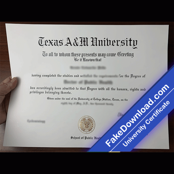 Texas A&M University Central Texas Template (psd)
