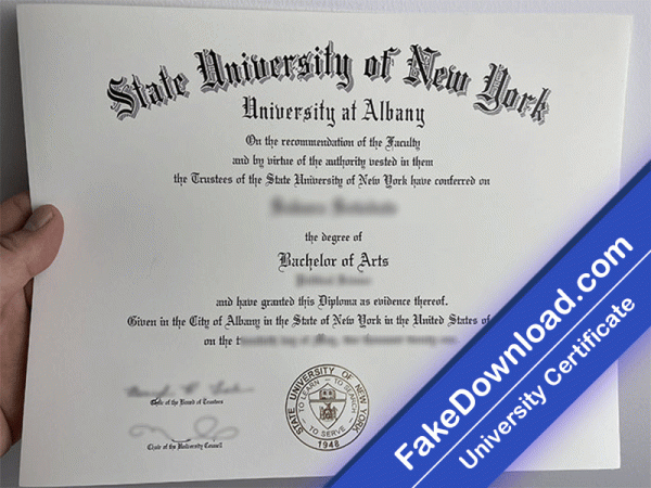 SUNY Albany University Template (psd)