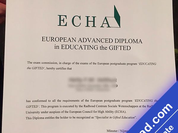 European Chemicals Agency (ECHA)