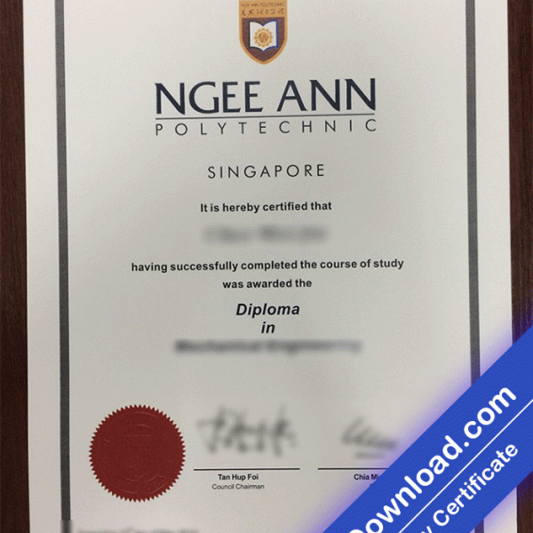 Ngee Ann Polytechnic University Template (psd)