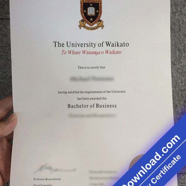 Purchase University of Waikato Template (psd)