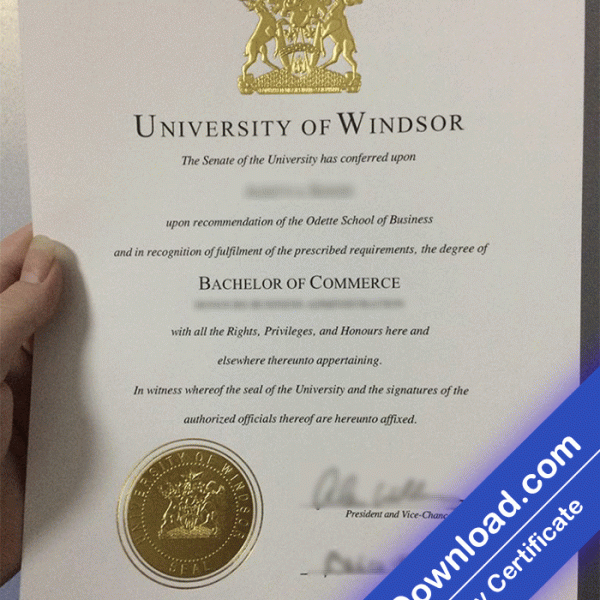 Windsor University Template (psd)
