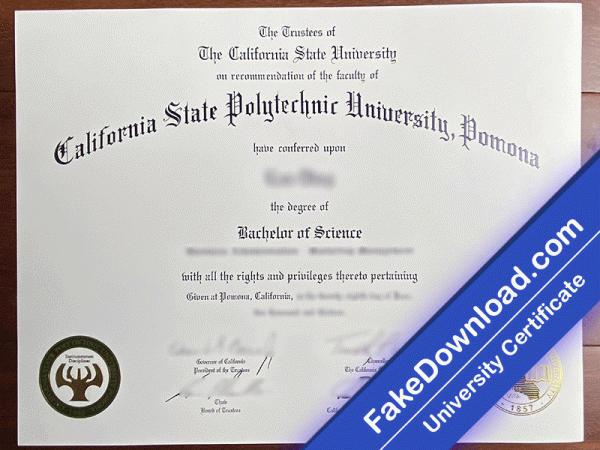 California State Polytechnic University Template (psd)
